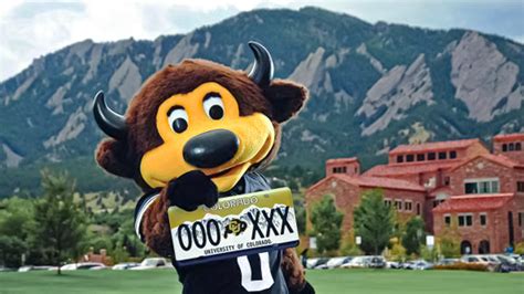Ralphie's Run: A Spectacle of Speed and Power at the University of Colorado